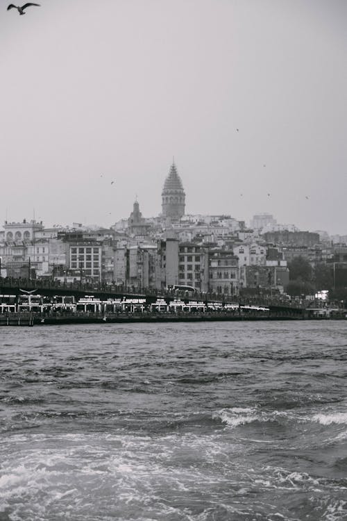 Foto d'estoc gratuïta de banya daurada, blanc i negre, ciutat