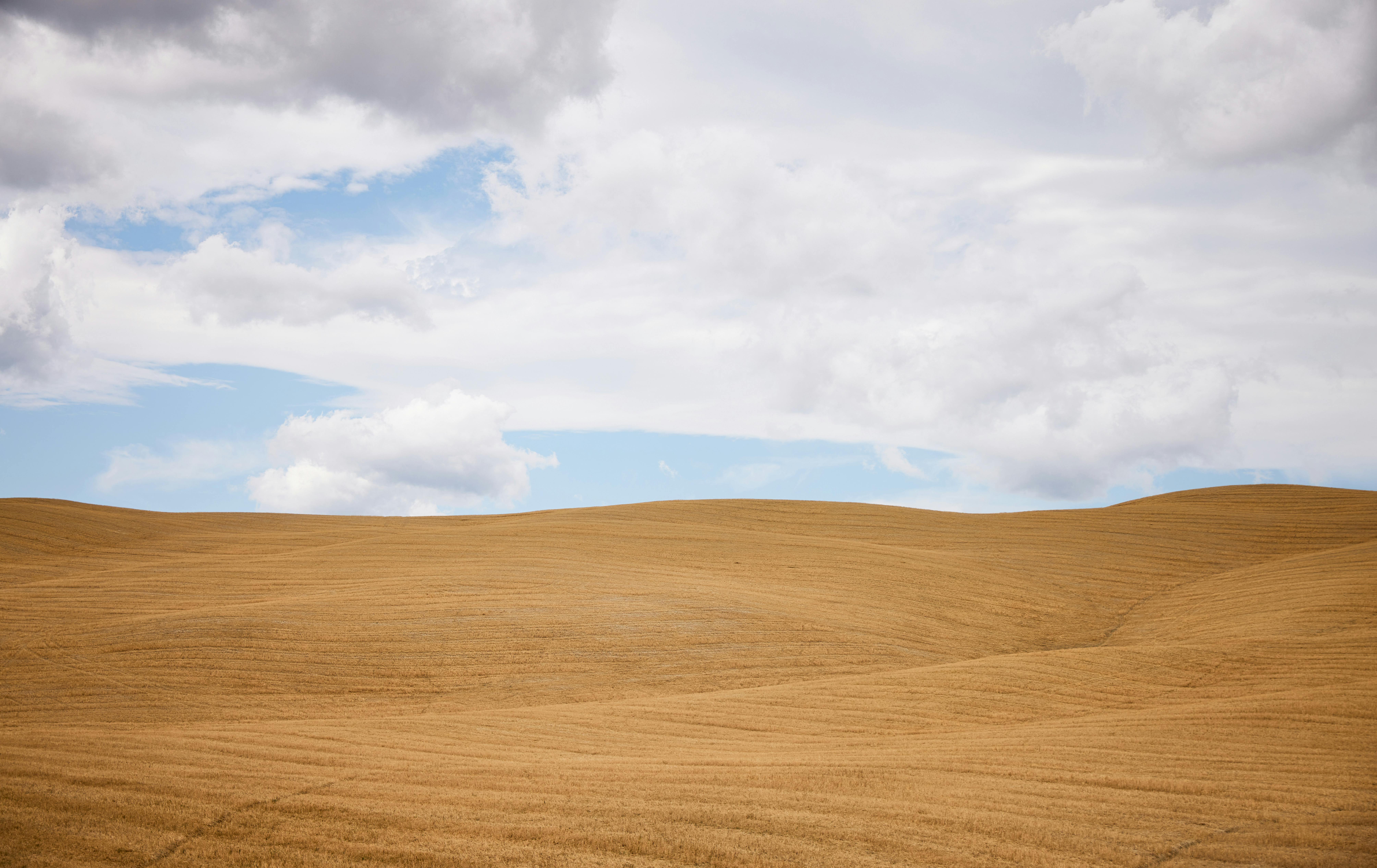 Expansive rolling fields with golden hues under a cloudy sky, capturing natural beauty and tranquility.