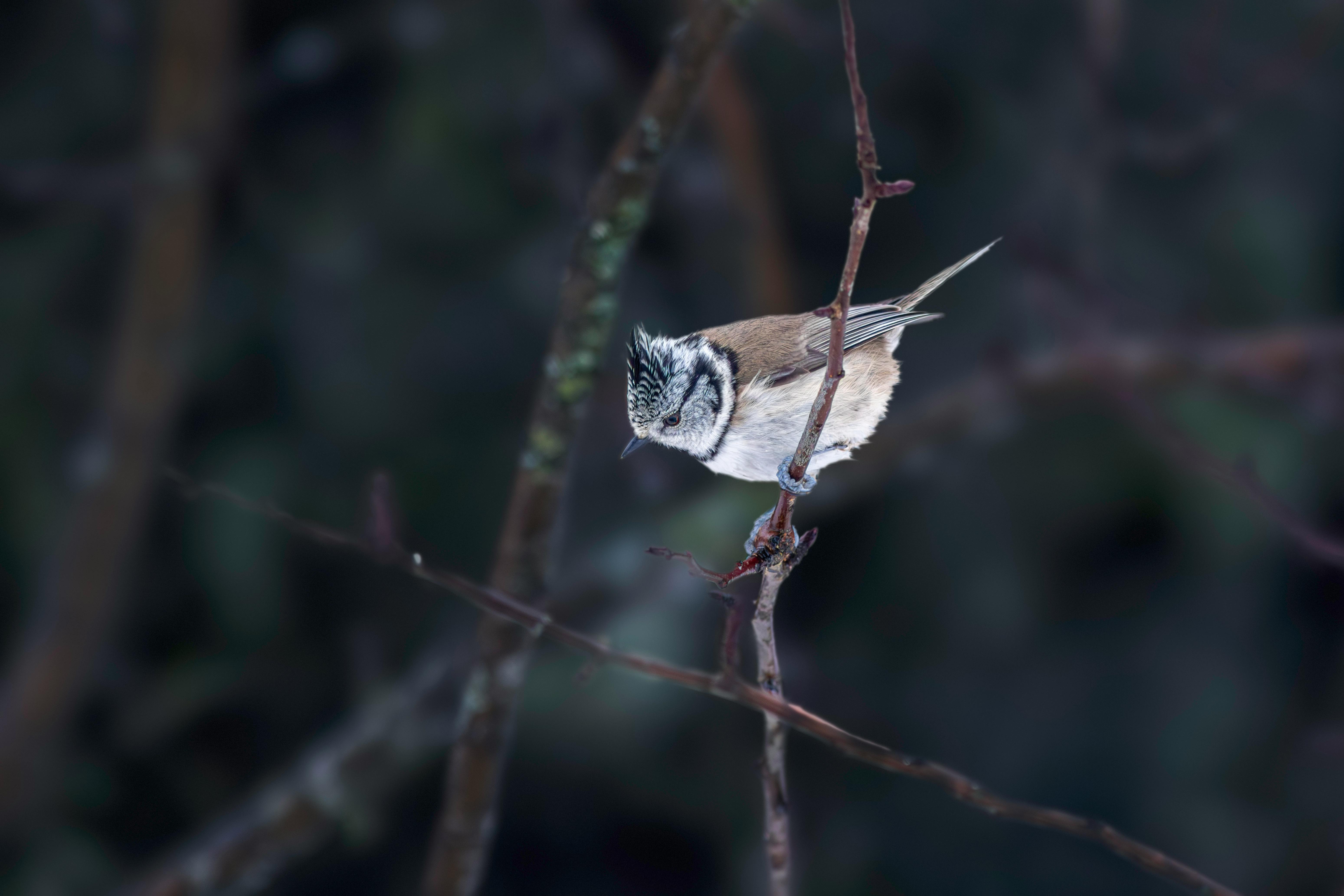 How to Monetize One Million Views on YouTube