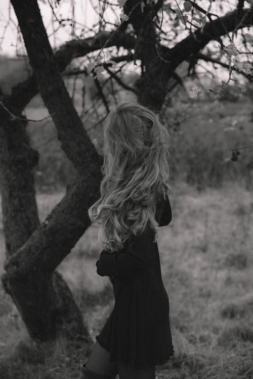 Imagine de stoc gratuită din alb-negru, arbore, femeie