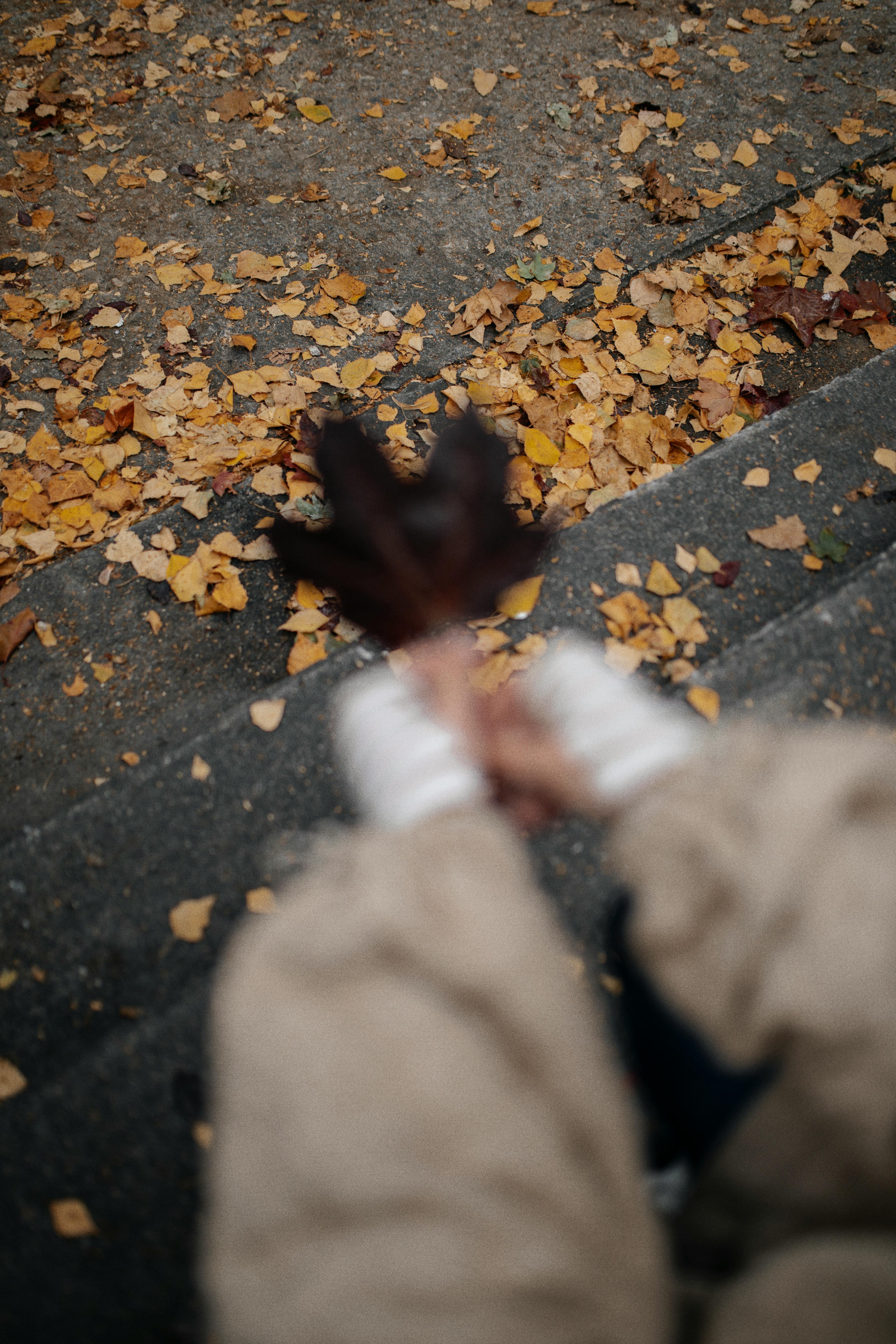 Person holding a dark leaf on stone steps surrounded by scattered yellow leaves.