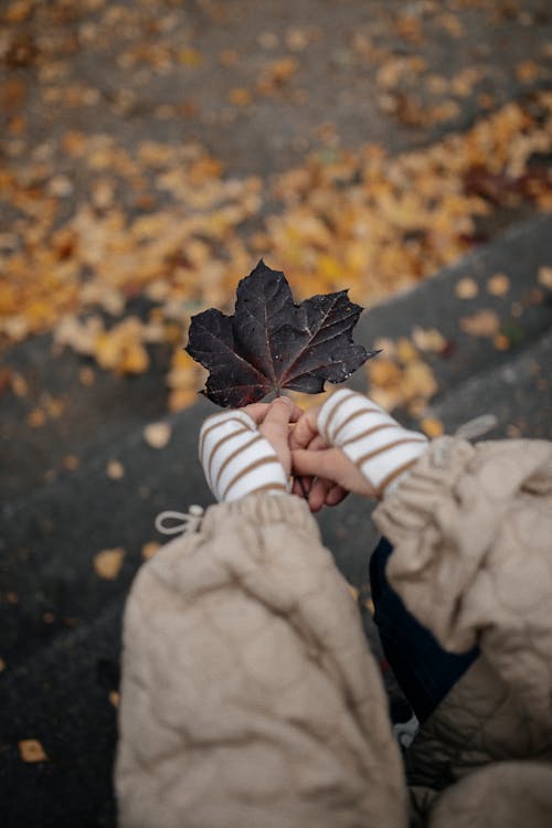 Hands Holding Black Leaf in Autumn