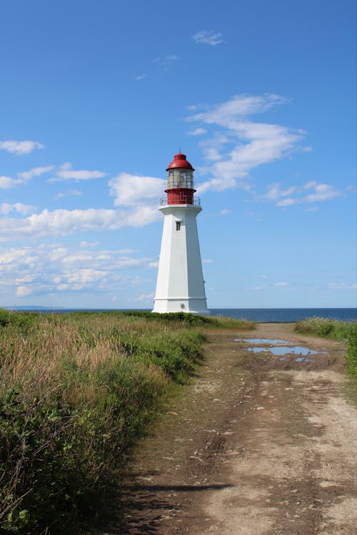 Immagine gratuita di bagnasciuga, canada, costa