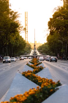 Sunset view of a bustling avenue in Ciudad de México, lined with cars and vibrant flowers.