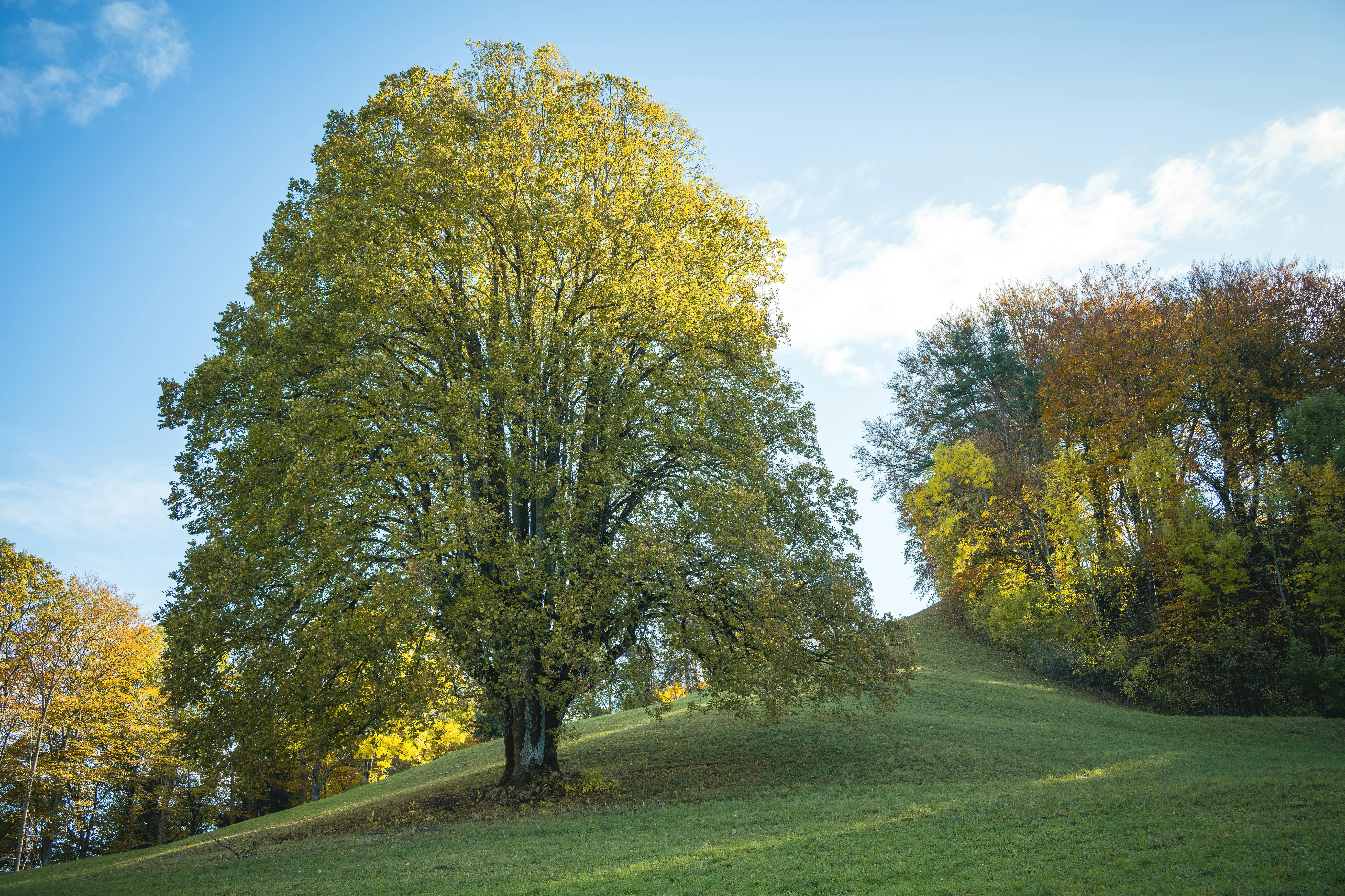 Slope Unblocked Photos, Download The BEST Free Slope Unblocked Stock Photos & HD Images