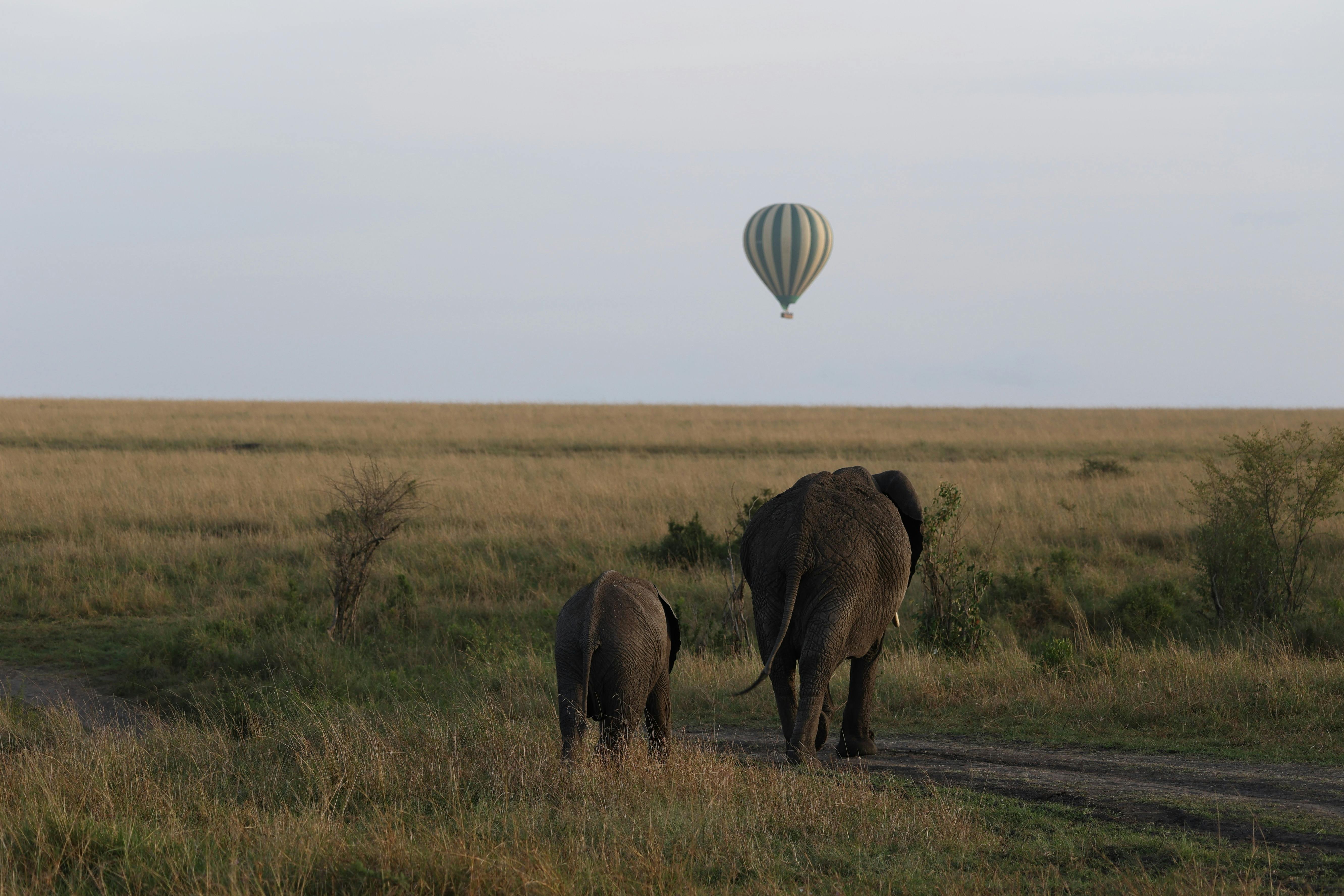 Budget travel tips: Smart Strategies for Thrifty Travelers