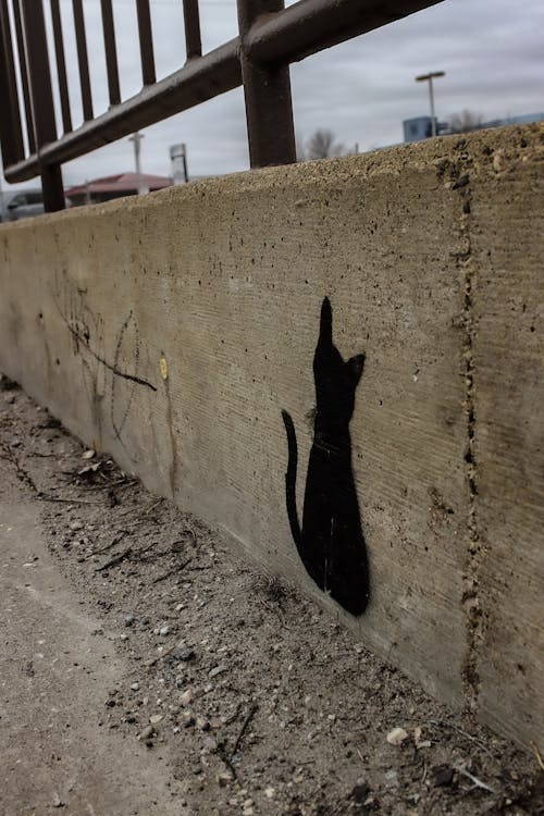 Fotos de stock gratuitas de arte callejero, calle, gato