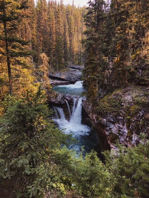 Immagine gratuita di acqua corrente, alberi, cascata