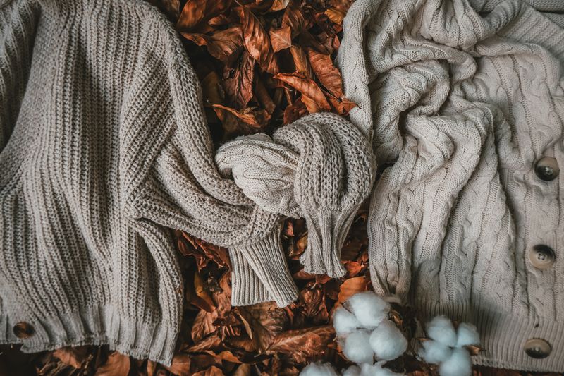 Knitted sweaters styled with autumn leaves, photo by hello aesthe on Pexels