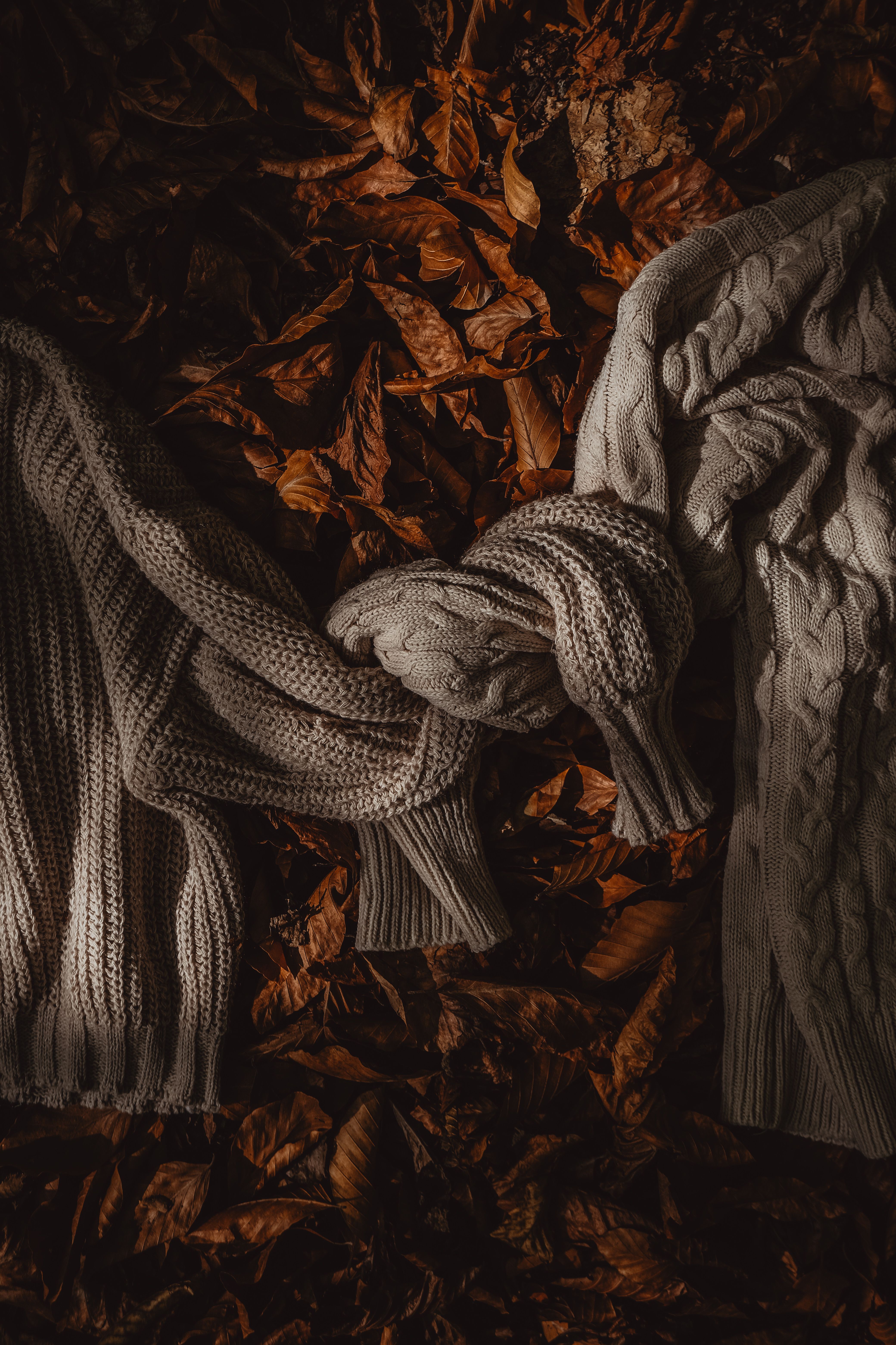Two knit sweaters tied together on a bed of autumn leaves, creating a warm and inviting seasonal scene.