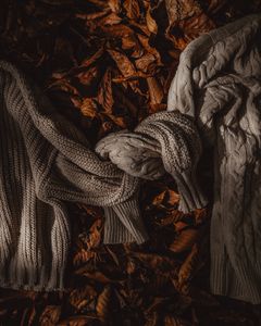 Two knit sweaters tied together on a bed of autumn leaves, creating a warm and inviting seasonal scene.