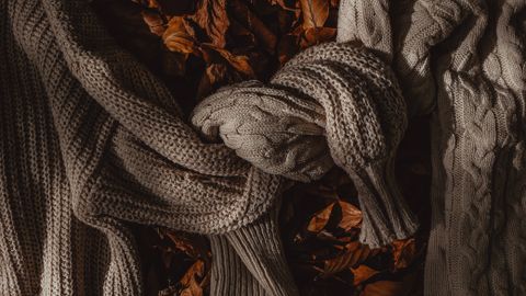Two knit sweaters tied together on a bed of autumn leaves, creating a warm and inviting seasonal scene.
