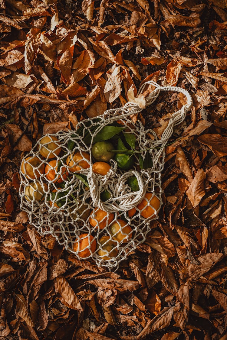 Fruit In Bag