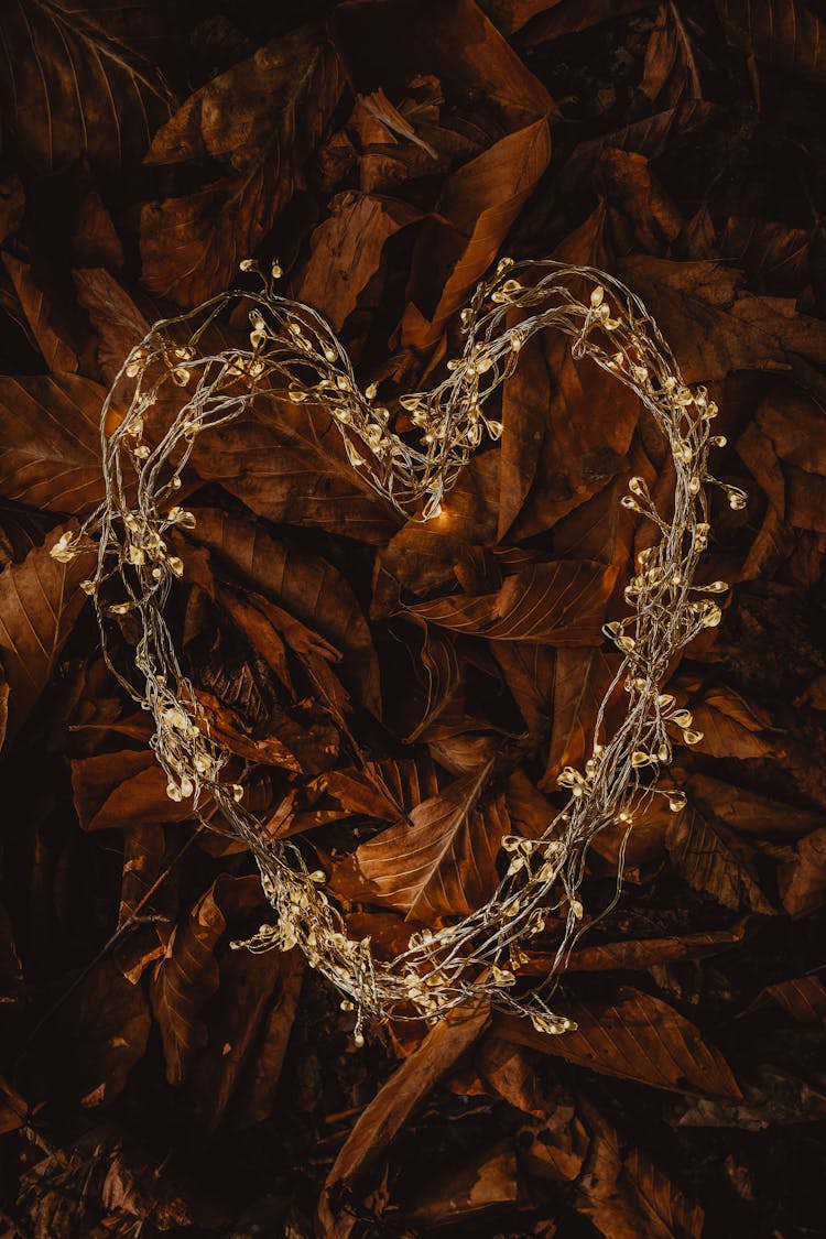 Heart Shaped Dry Flower Wreath On A Pile Of Autumn Leaves