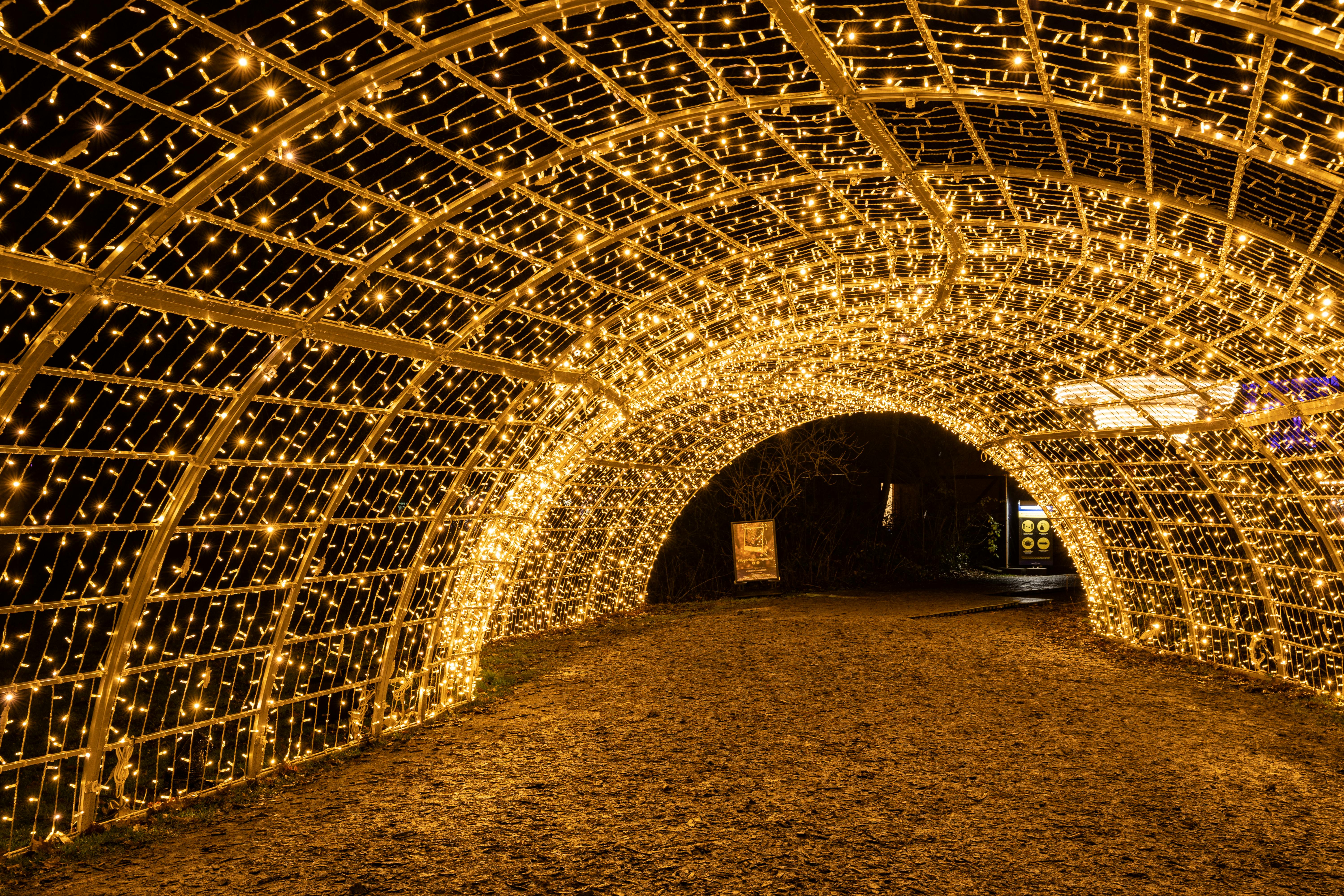 A mesmerizing tunnel of yellow LED lights creating a glowing archway at night.