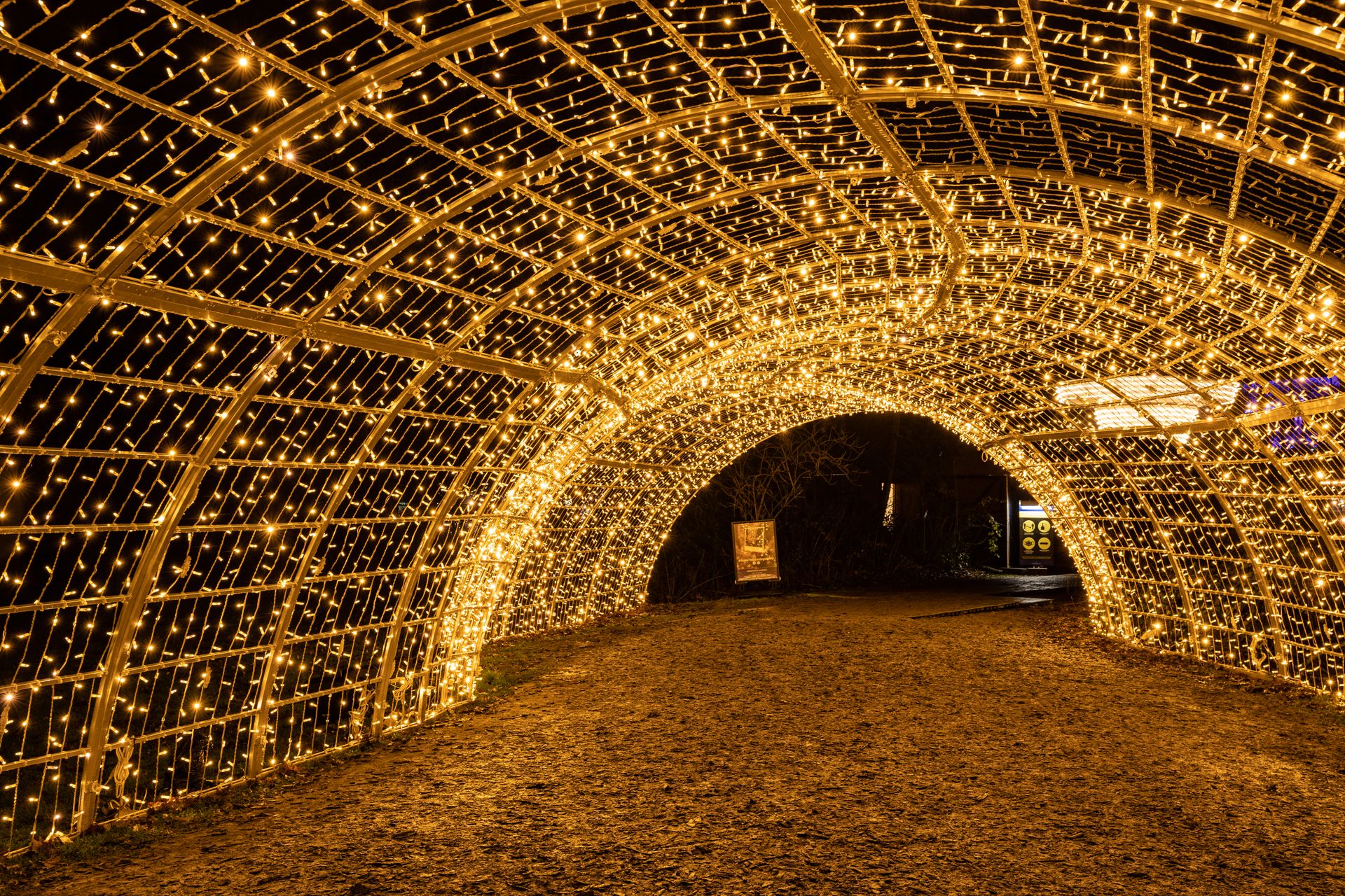 A mesmerizing tunnel of yellow LED lights creating a glowing archway at night.