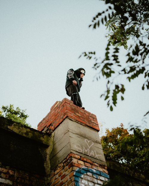 Free Man standing on a brick wall surrounded by greenery. Stock Photo