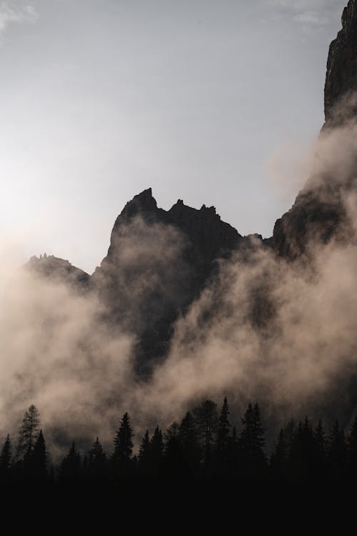 Immagine gratuita di cloud, foresta, montagne