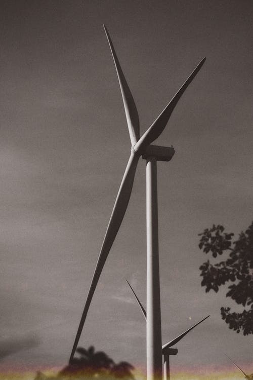 Foto d'estoc gratuïta de arbres, energia renovable, fons de pantalla per al mòbil