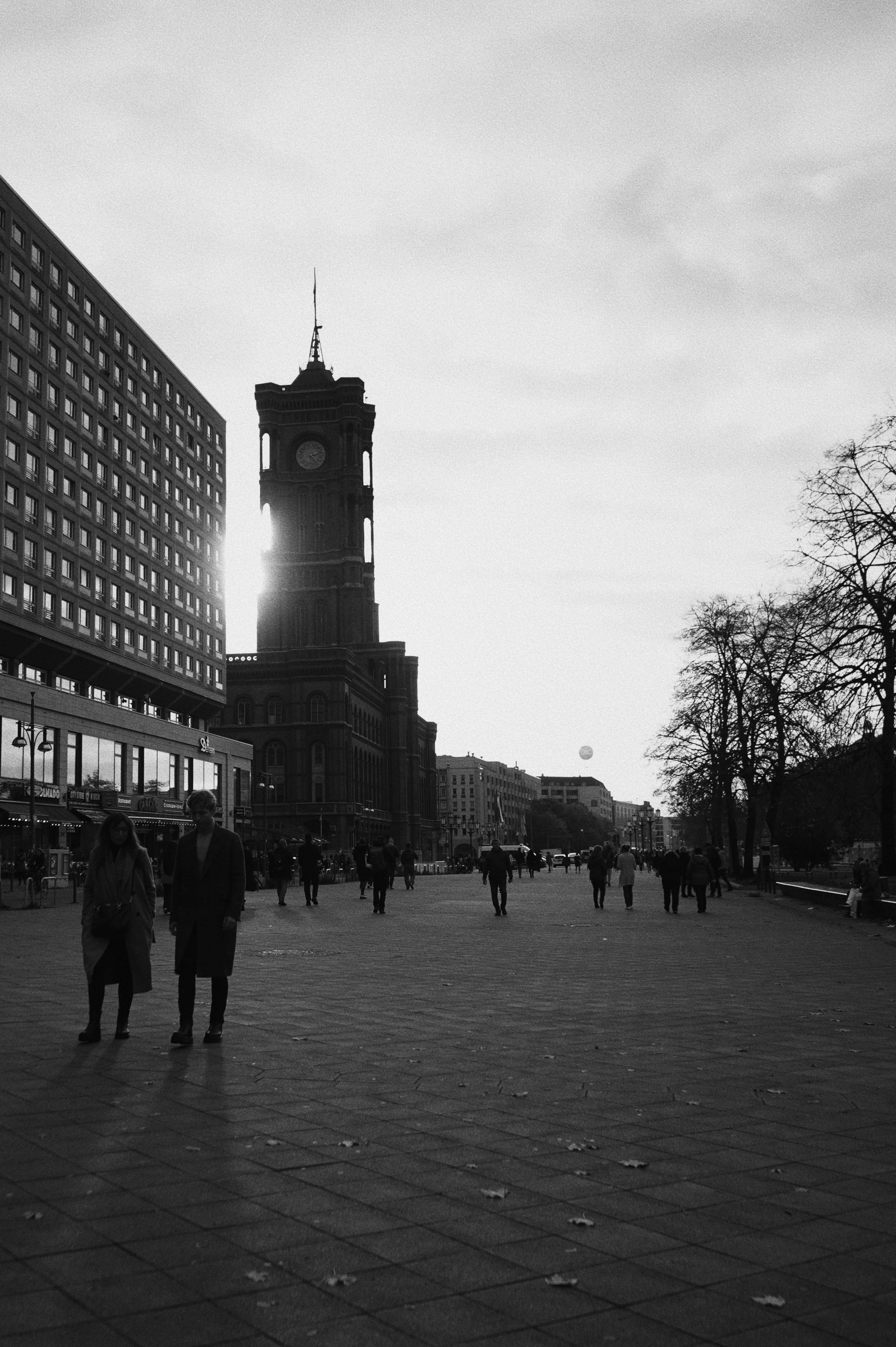 rote-nasenpapageien-photos-download-the-best-free-rote-nasenpapageien