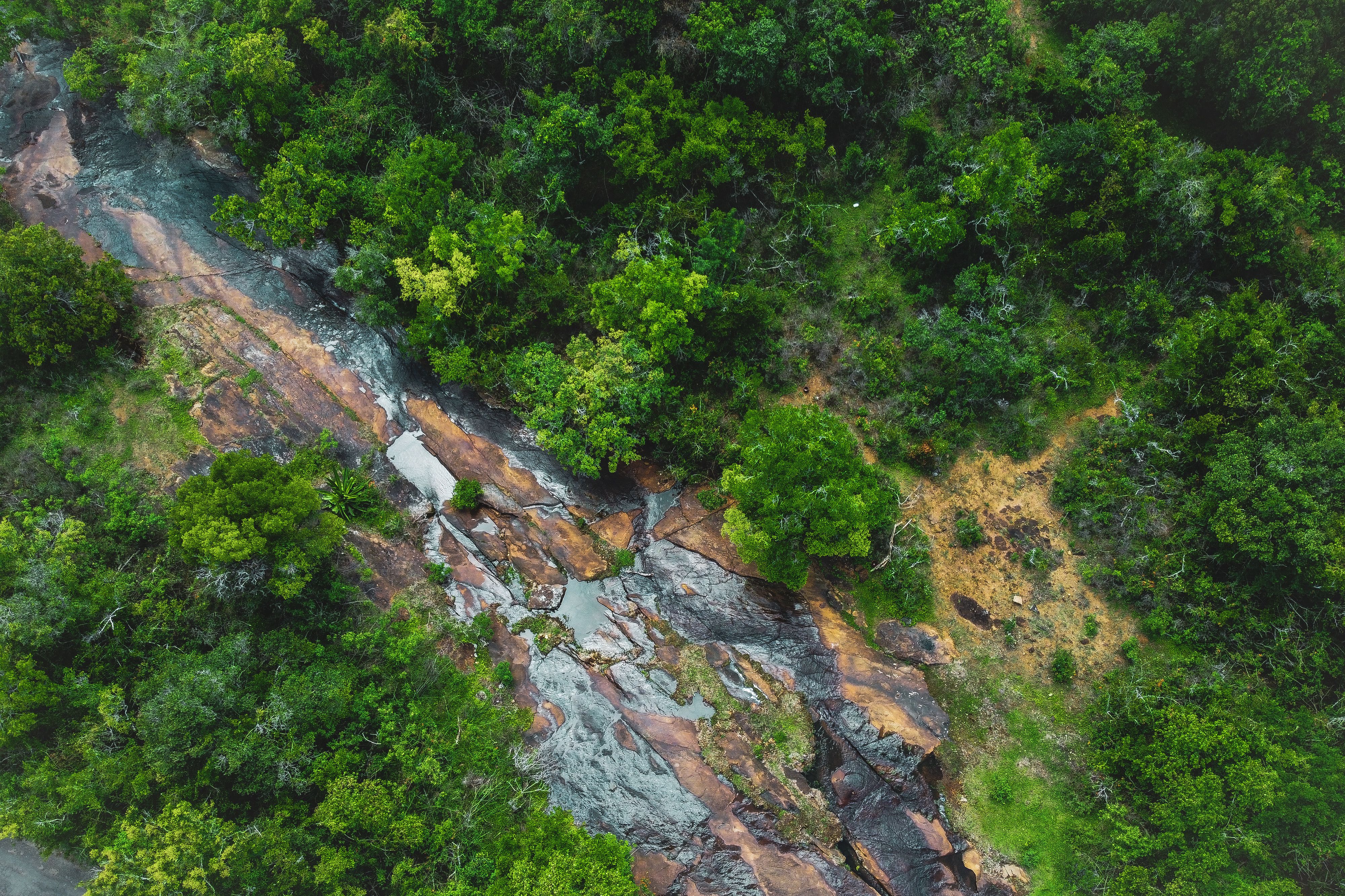 Drone Shot of Stream · Free Stock Photo