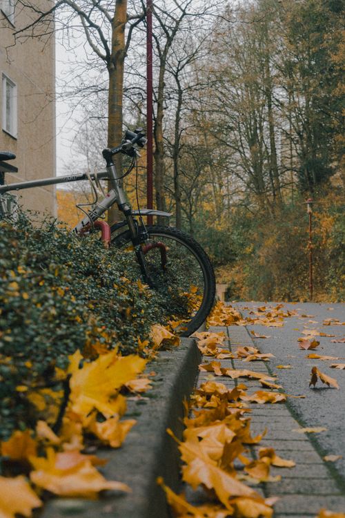 Free A peaceful urban setting with a bicycle and autumn leaves along a quiet sidewalk. Stock Photo