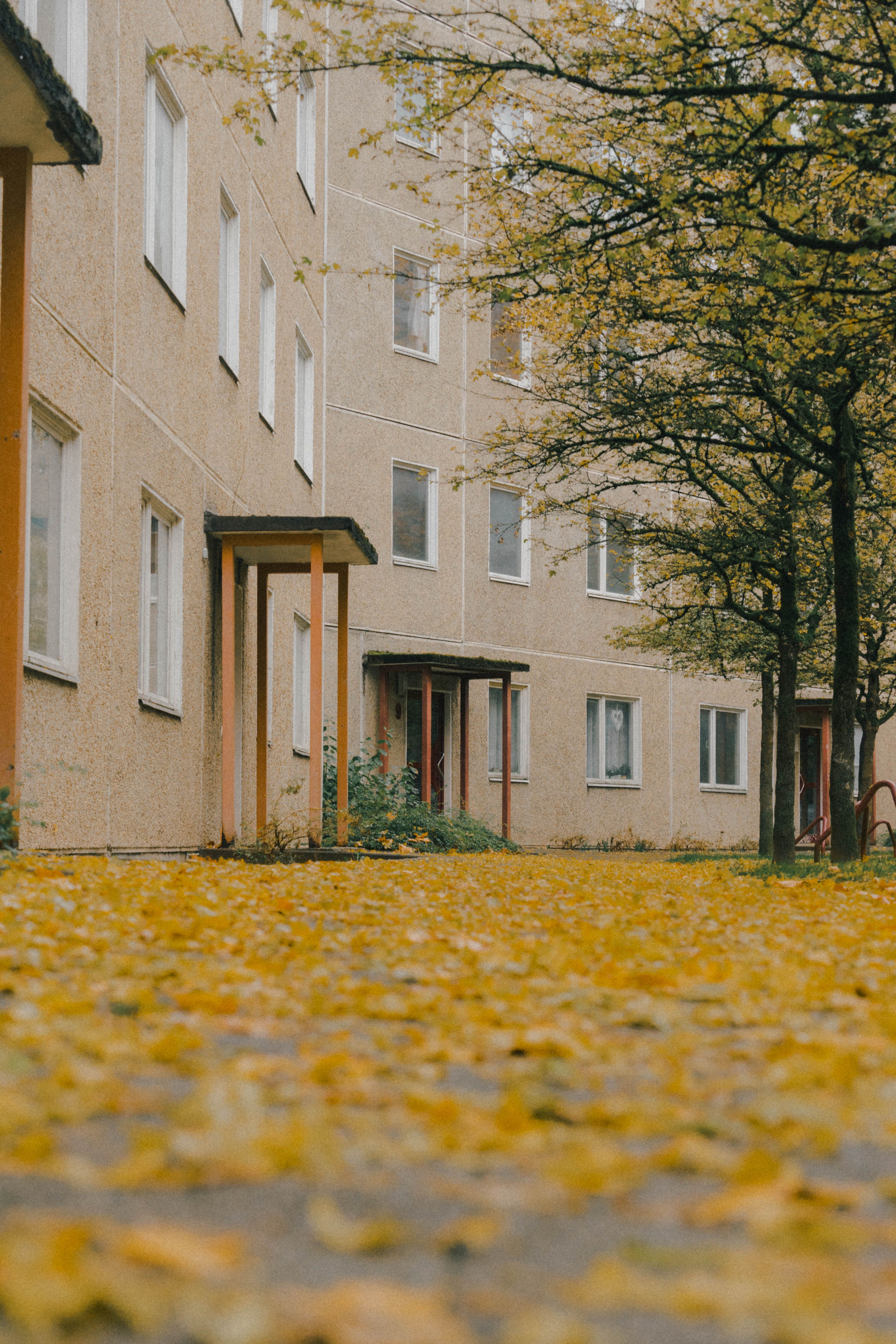 Trees Growing by Urban Residential Building in Autumn · Free Stock Photo