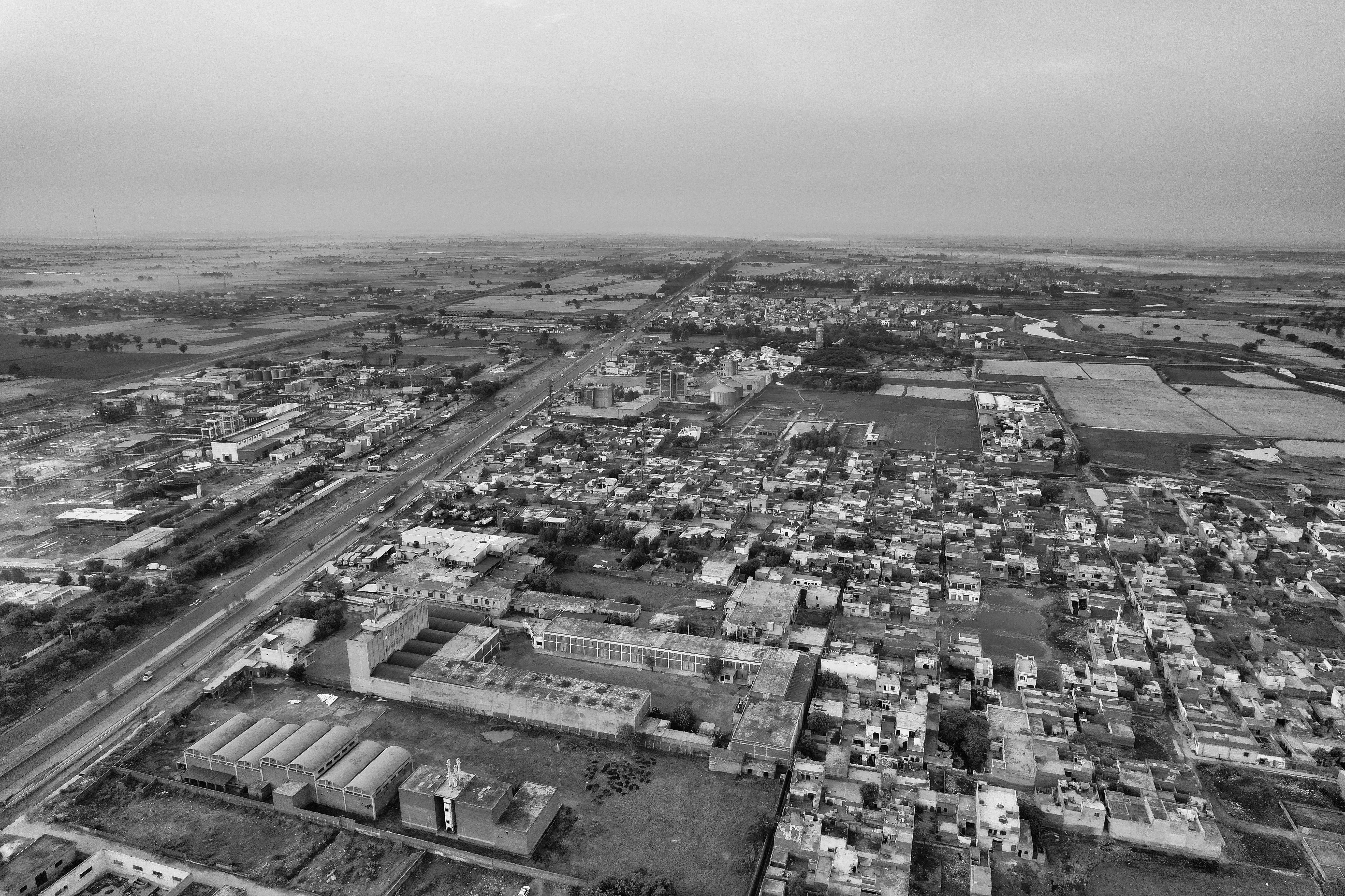 A golden retriever sitting next to a tablet showing digital medical charts and pet insurance data