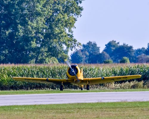 Free A bright yellow propeller aircraft on a rural runway surrounded by fields and trees. Stock Photo