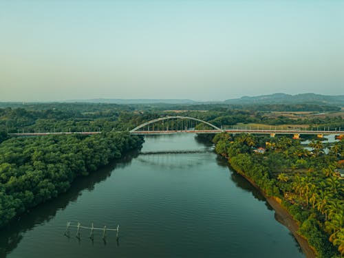 Bridge on River in Forest in Countryside