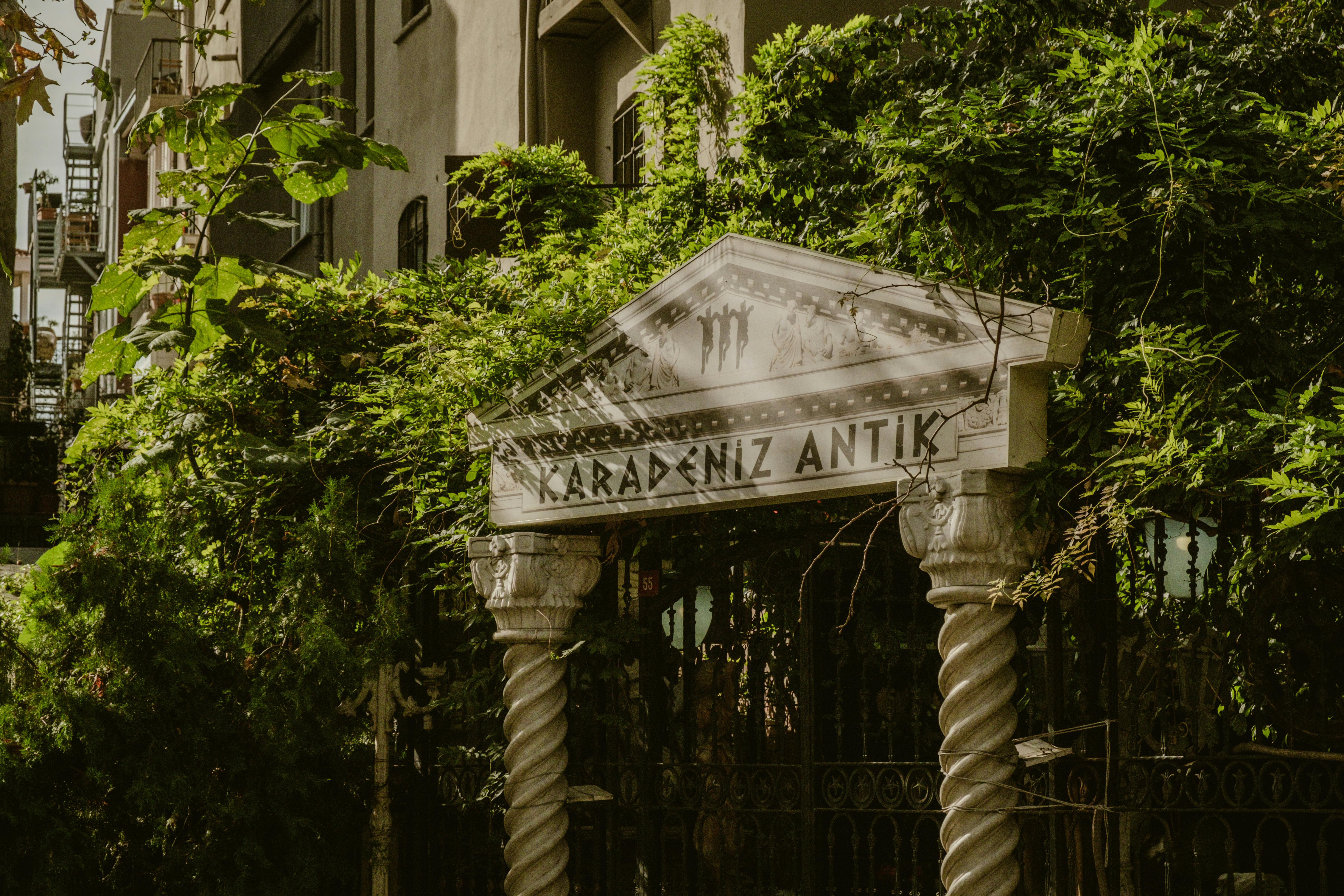 antique tabriz - antique tabriz