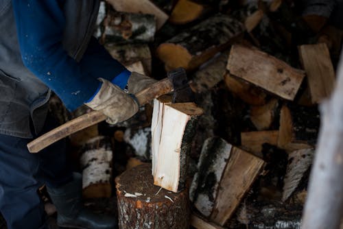 Foto profissional grátis de árvore, axe, de madeira