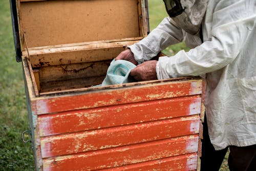 养蜂人, 原本, 國家 的 免费素材图片