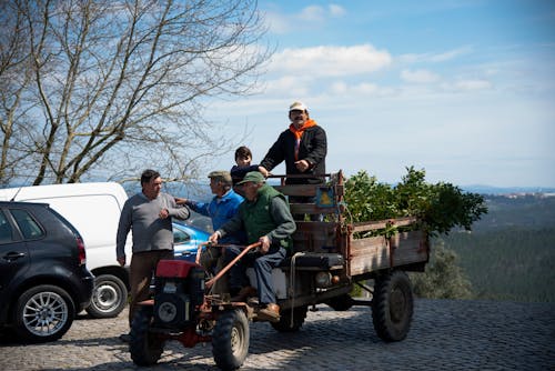 Foto d'estoc gratuïta de arbre, bell paisatge, conversa