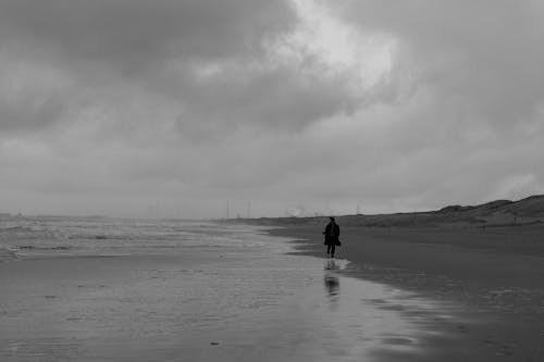 Foto d'estoc gratuïta de blanc i negre, caminant, costa oceànica