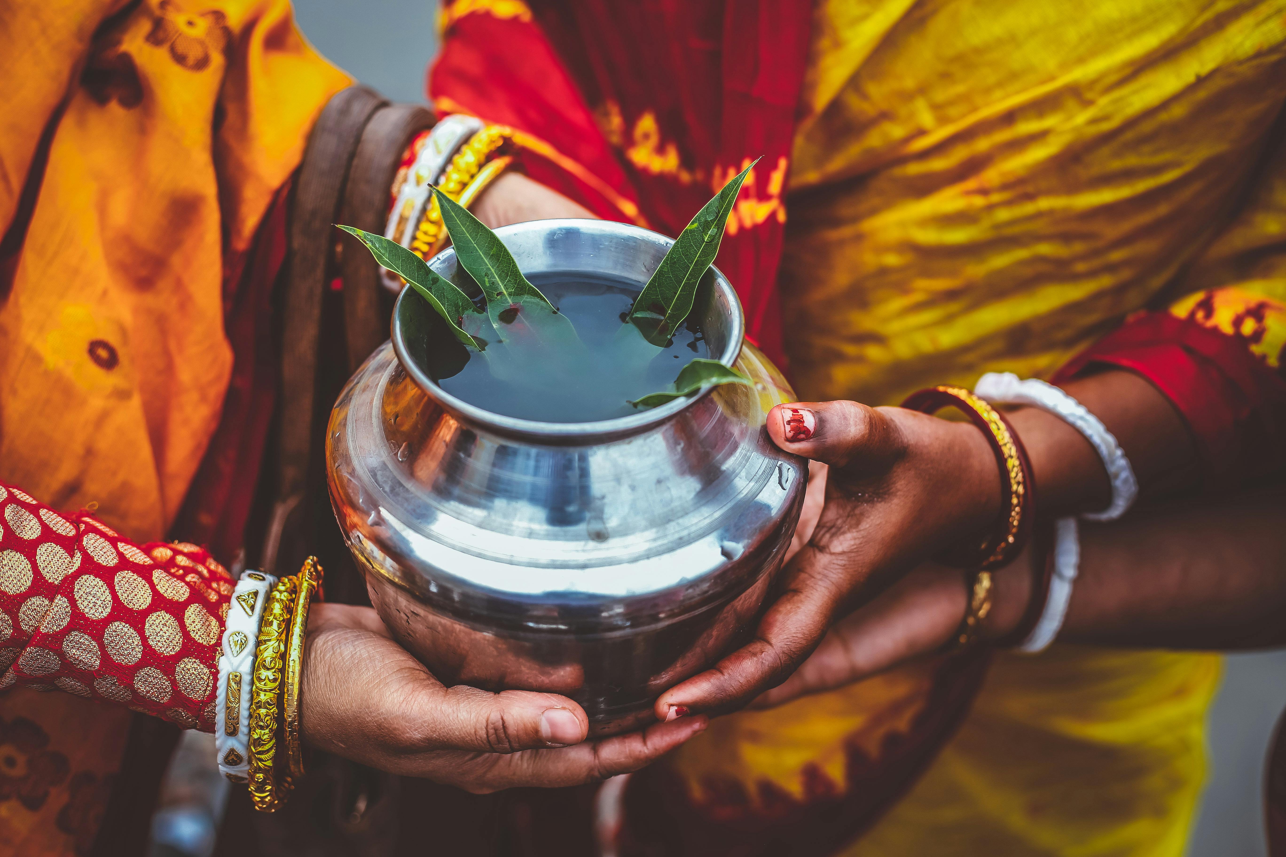 people holding silver metal pot