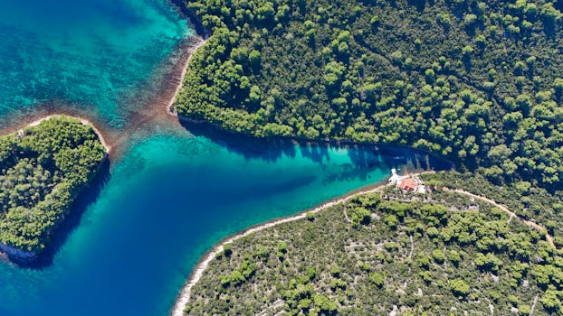Aerial shot of a vibrant coastline with rich greenery and clear blue sea water.