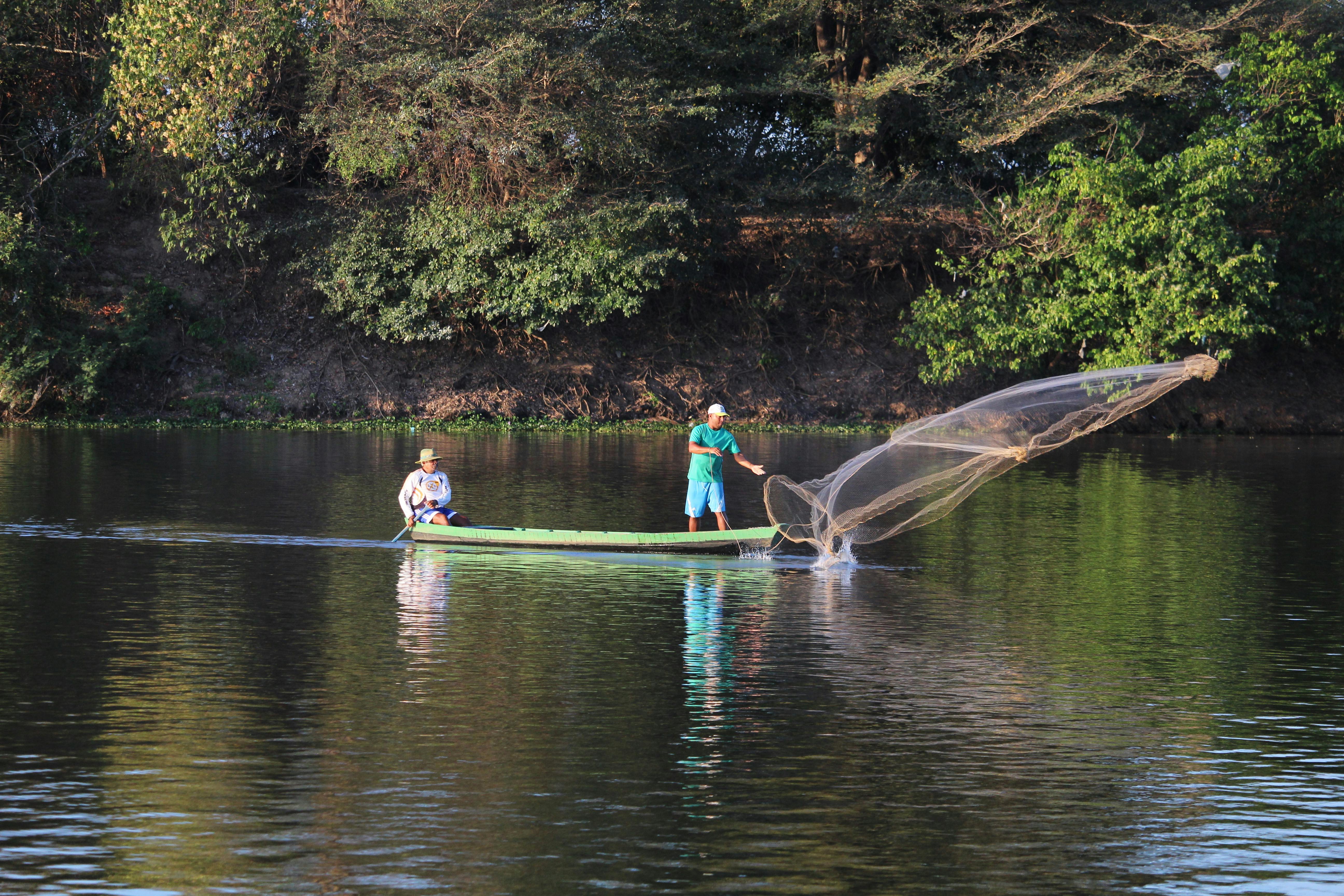Fishermen Fishing on Swamp · Free Stock Photo