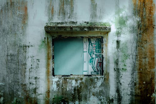 Základová fotografie zdarma na téma budova, graffiti, opuštěný