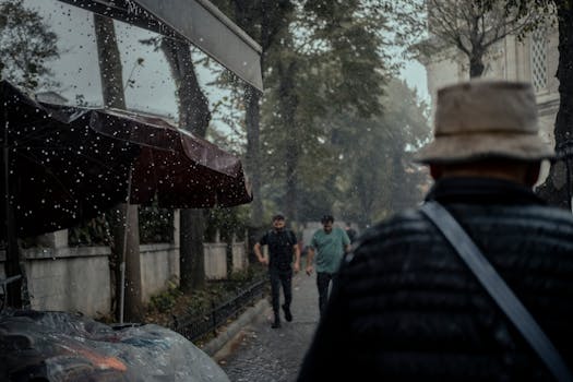 A rainy day in a city with pedestrians walking along a tree-lined sidewalk, umbrellas partially visible.