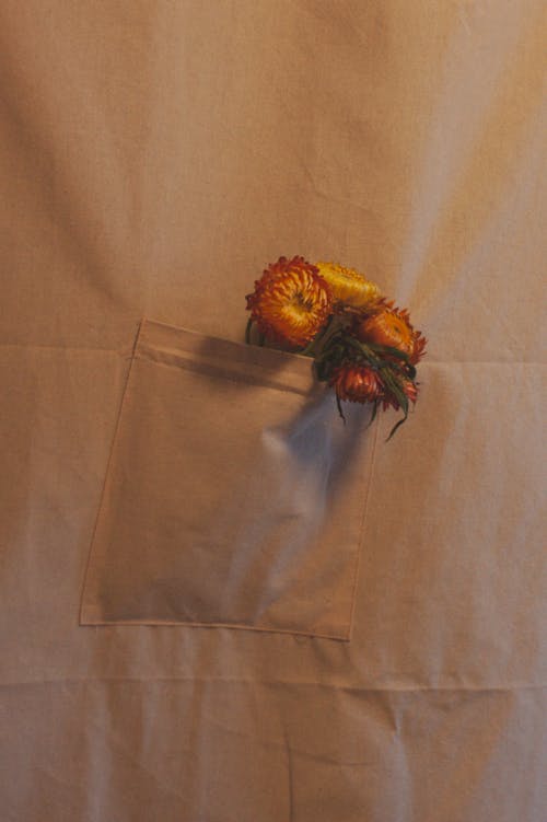 Dry Flowers in a Pocket 