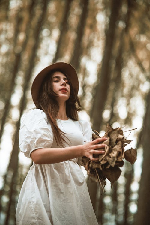 Gratis stockfoto met bladeren, blanke vrouw, bomen