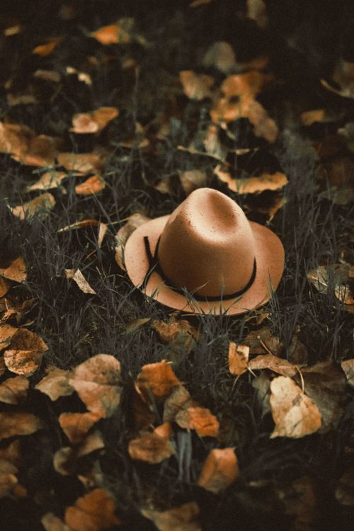 Free A brown hat resting on grass surrounded by autumn leaves, evoking a cozy fall atmosphere. Stock Photo