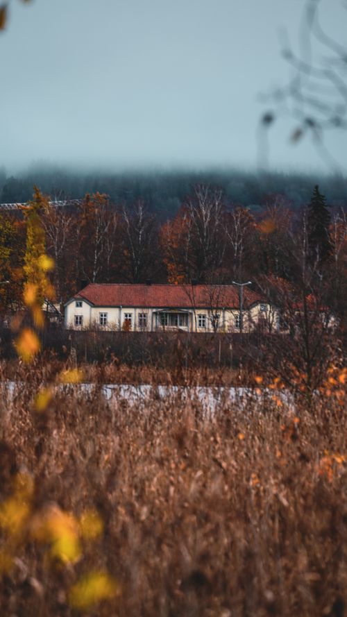 Free A picturesque countryside house surrounded by vibrant autumn foliage. Stock Photo