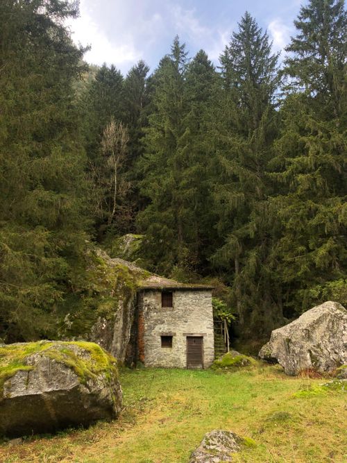Free A rustic stone cabin nestled in a lush coniferous forest in Val Masino, Italy. Stock Photo