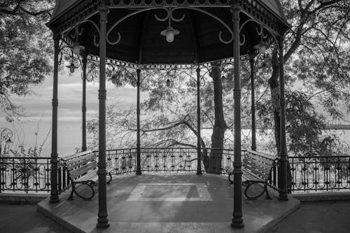 Foto d'estoc gratuïta de arbres, bancs, blanc i negre