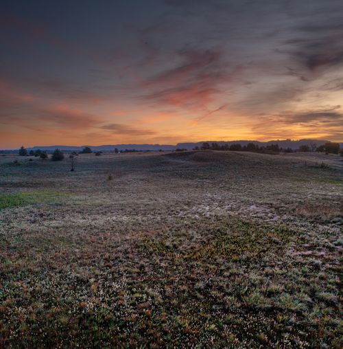 Free Beautiful sunset over a vast field in West Newton, MN, with autumn hues in the sky. Stock Photo