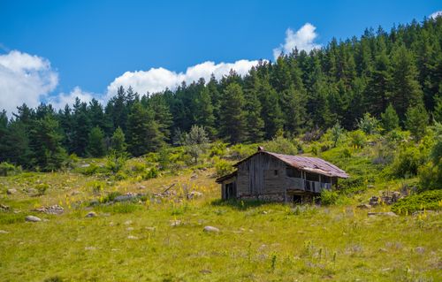 Free Charming rustic farmhouse nestled in a lush forest meadow under a clear blue sky. Stock Photo
