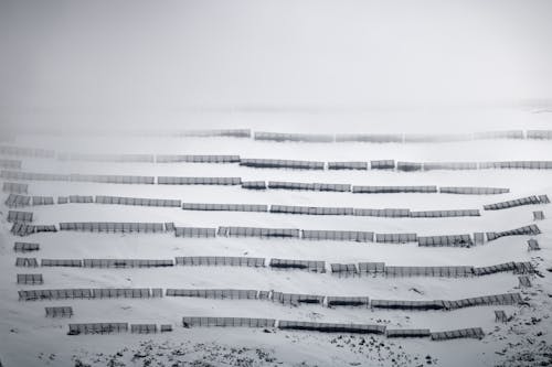 A photo of a fence in the snow