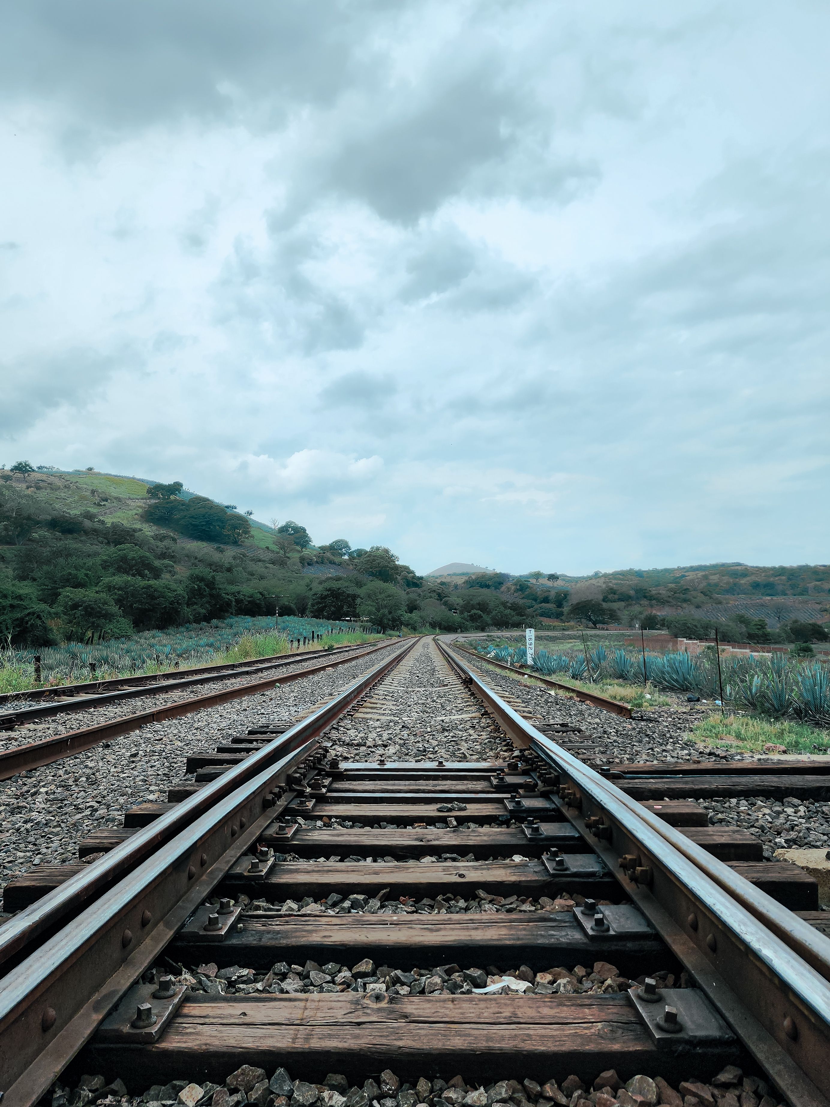 The role of the transcontinental railroad in connecting the Atlantic and Pacific coasts